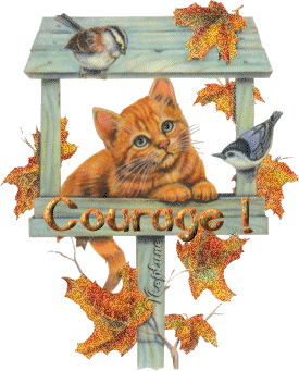 Courage "chat"